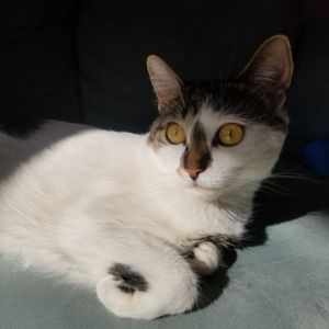 Meet your Posher, Jacqueline